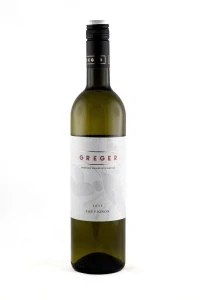 Sauvignon pozdní sběr 2025, suché víno