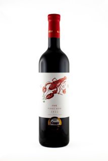 Pinot noir OAK 2022 výběr z hroznů – suché 